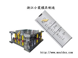 配套模具 冰箱塑料模具 塑料冰箱模具 中國(guó)小霞塑料模具公司
